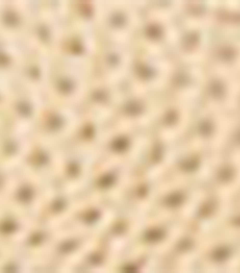 Mesh Astred Flat Espadrilles LUX CREAM/RL GOLD