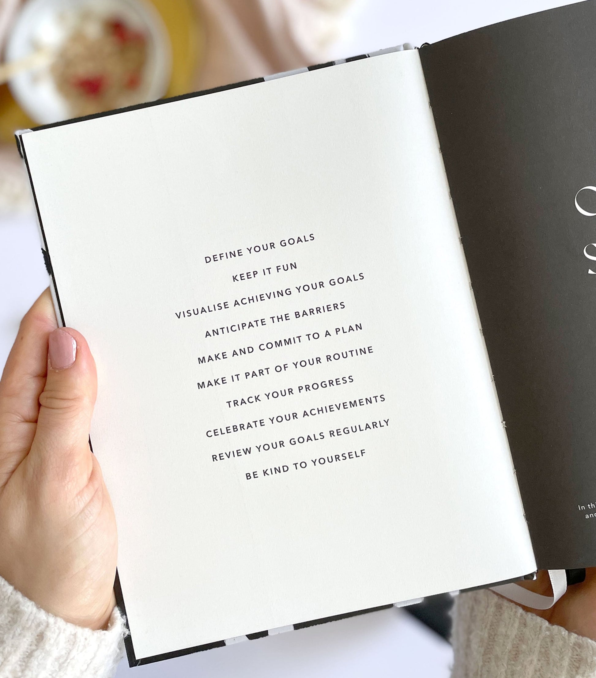 Blush and Gold Daily Fitness & Meal Planner