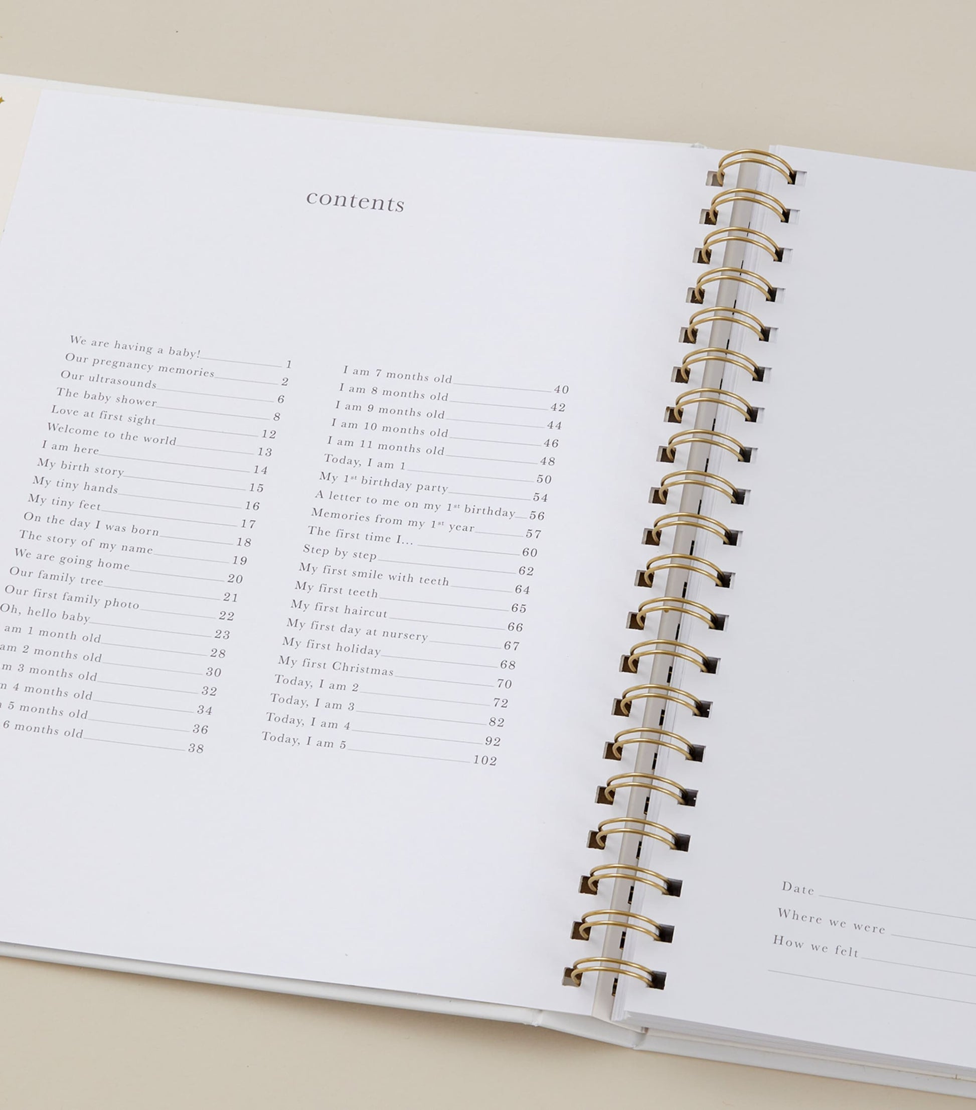 Safari Baby Memory Book