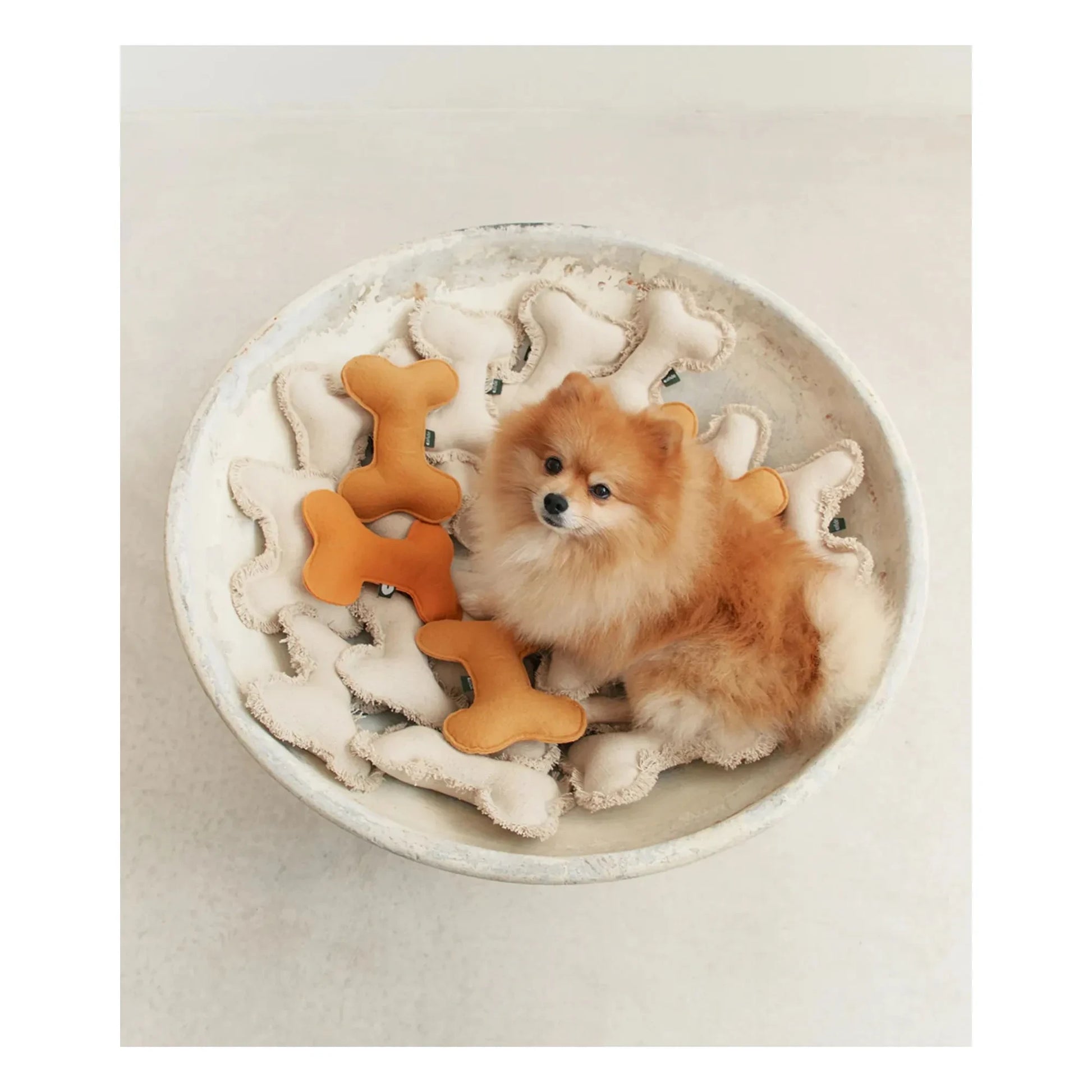 Cafide - Bone dog toy | Off-White