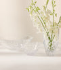 Crystal Celebrations Bowl (33cm)