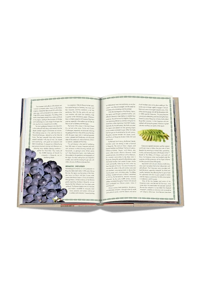 Assouline The 100 Burgundy: Jeannie Cho Lee ile Olağanüstü Şaraplar