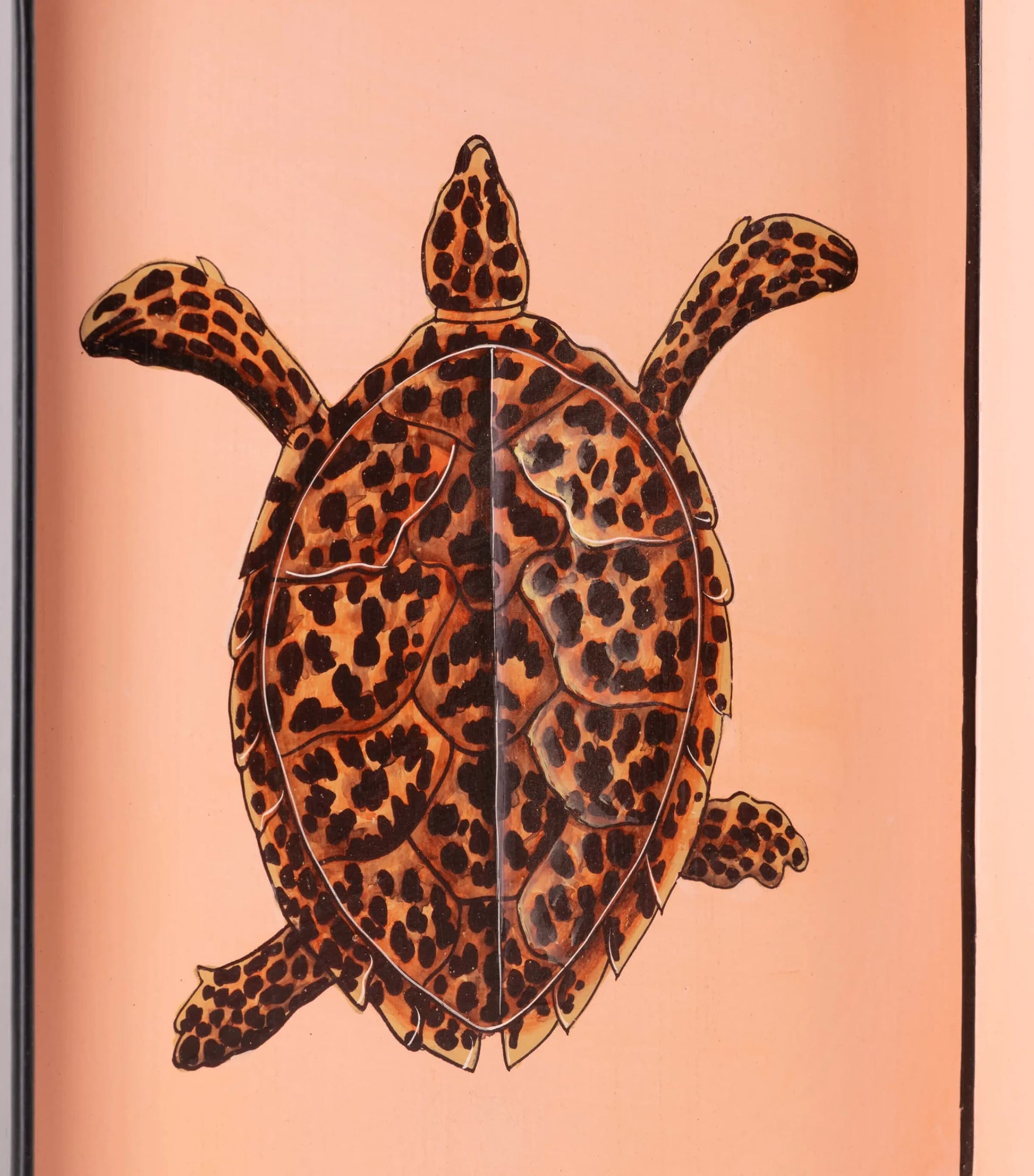 Iron Turtle Tray (43cm x 30cm)