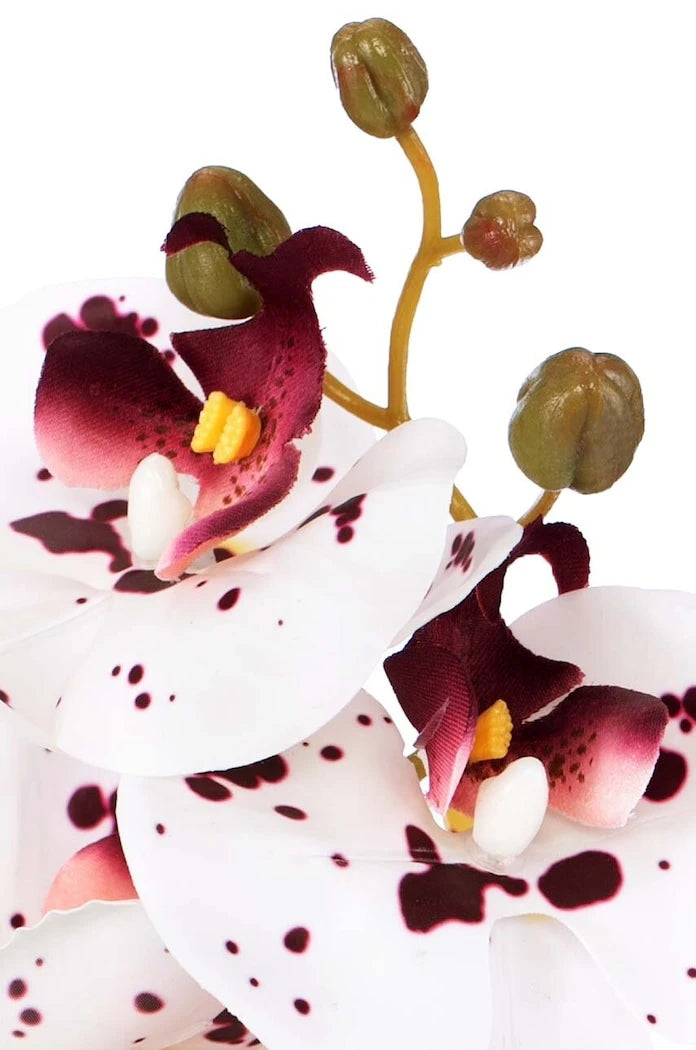 Изкуствено растение Orchidea (10 броя)