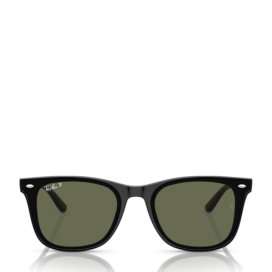 Injected RB4420 Sunglasses