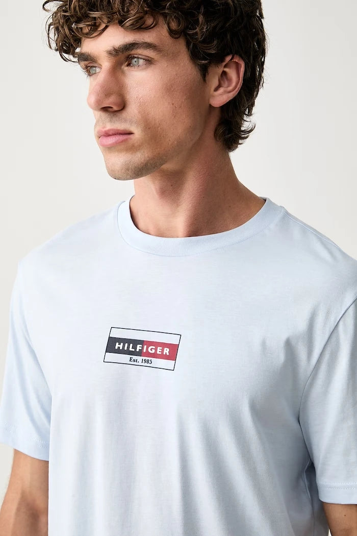 Tommy Hilfiger erkek pamuklu tişört