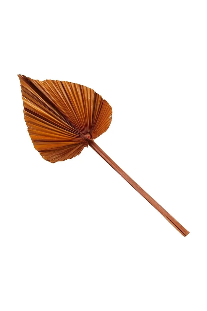 Декорация Boltze Areca (2 броя)
