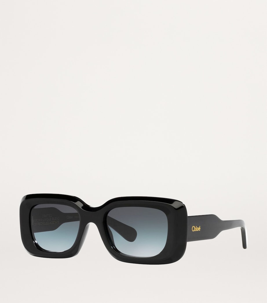 Black Acetate 06N000505 Sunglasses