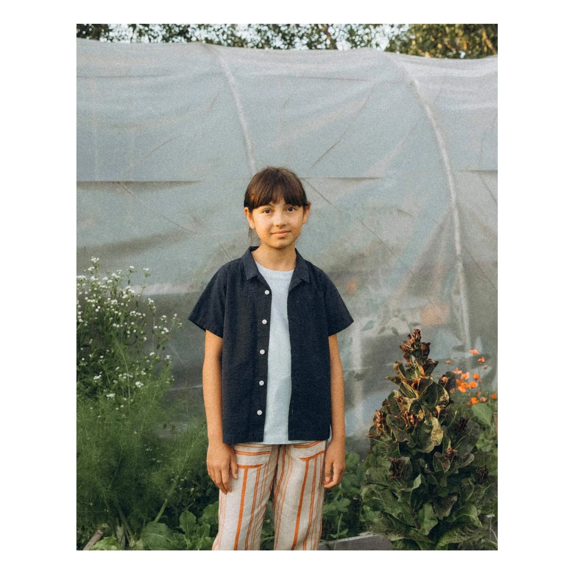 Matona - Plain Organic Cotton Shirt | Navy blue