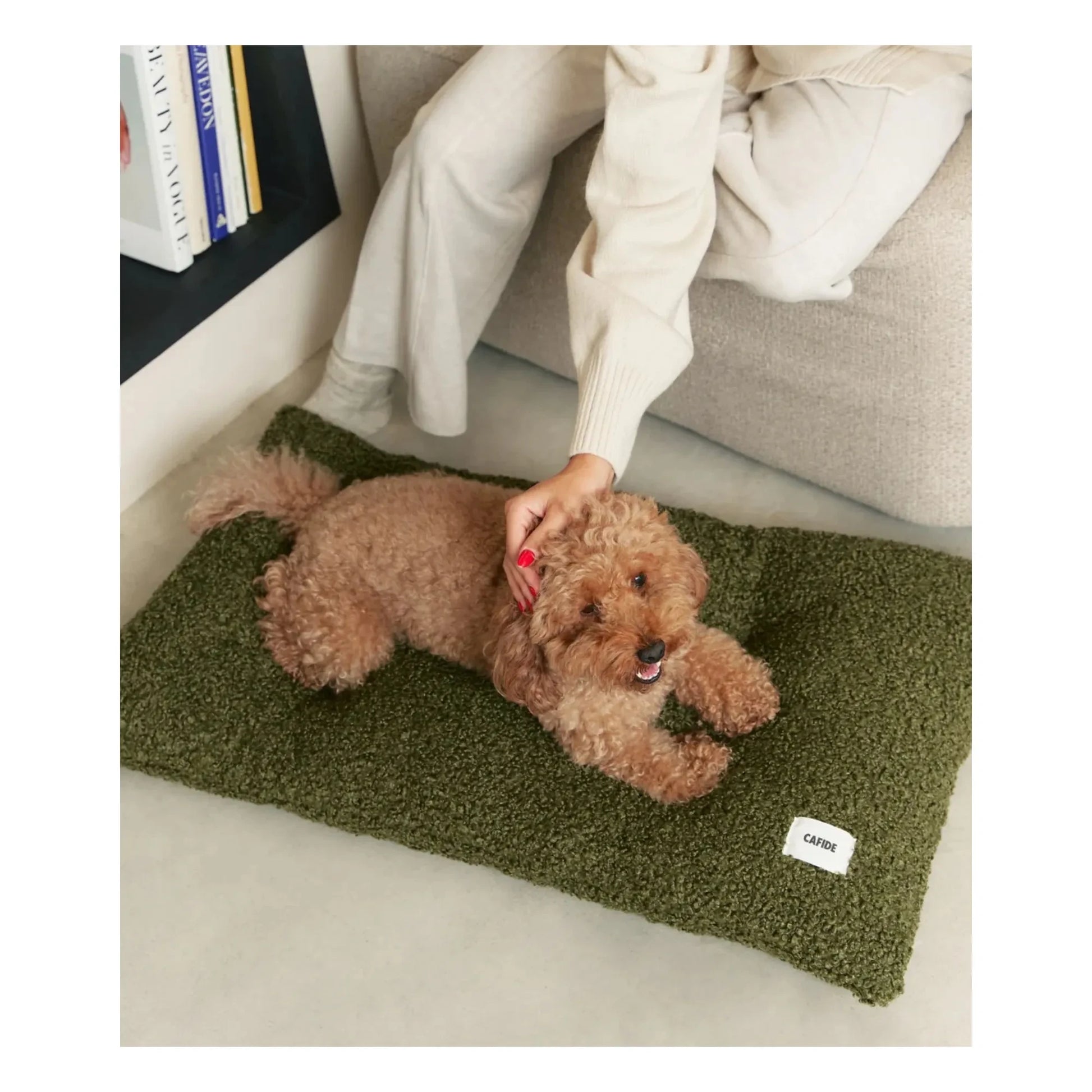 Cafide - Bela dog mattress | Green