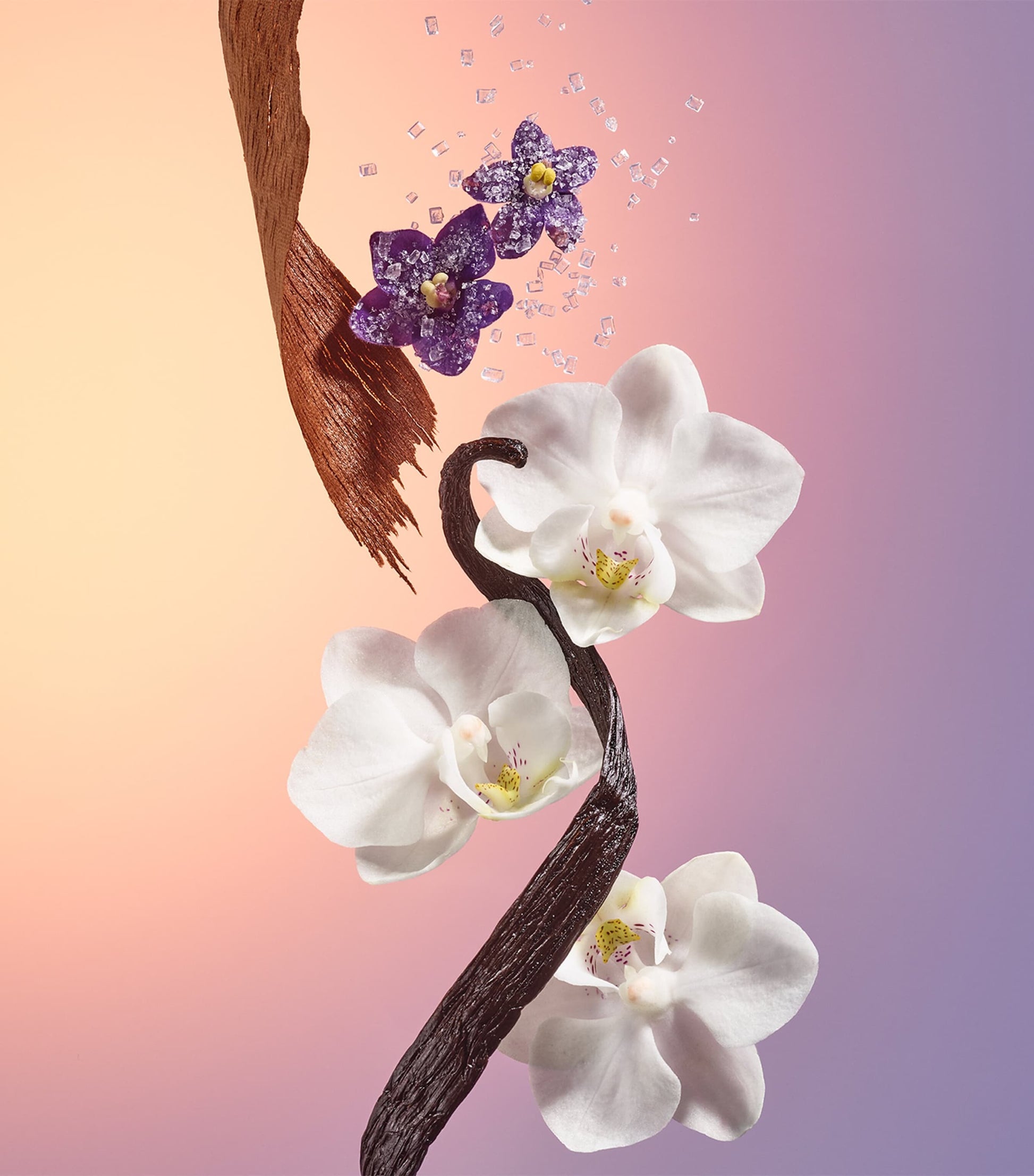 Delícia Drench Shower Oil (385ml)