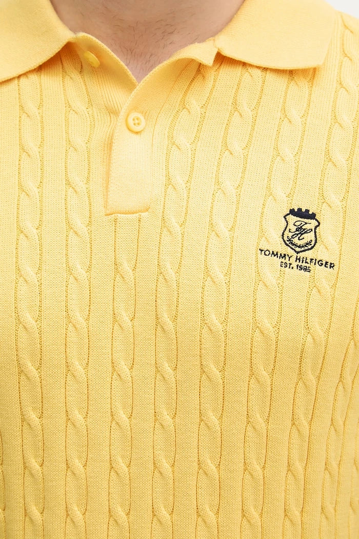 Tommy Hilfiger pamuklu erkek polo yaka tişört