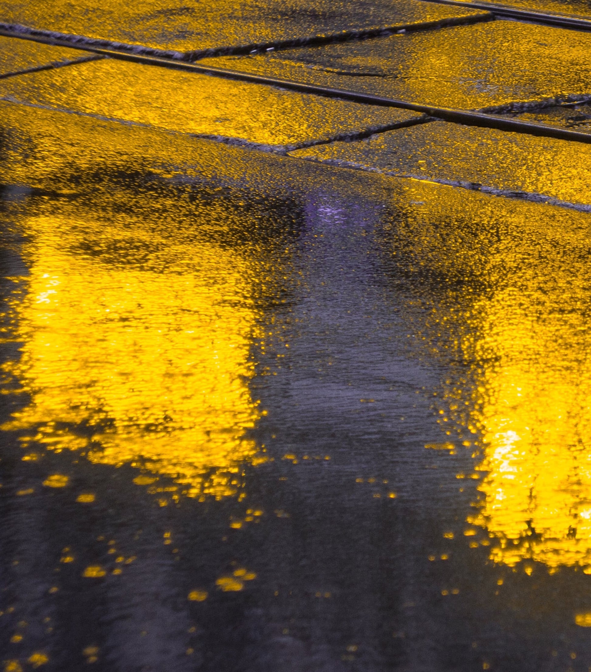 Santal Volcanique Eau de Parfum (100ml)