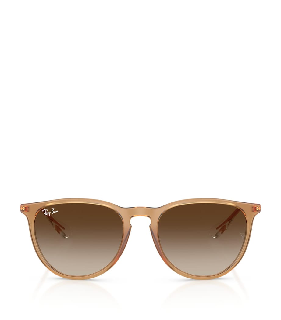 Ray-Ban RB4171 Erika Classic Sunglasses