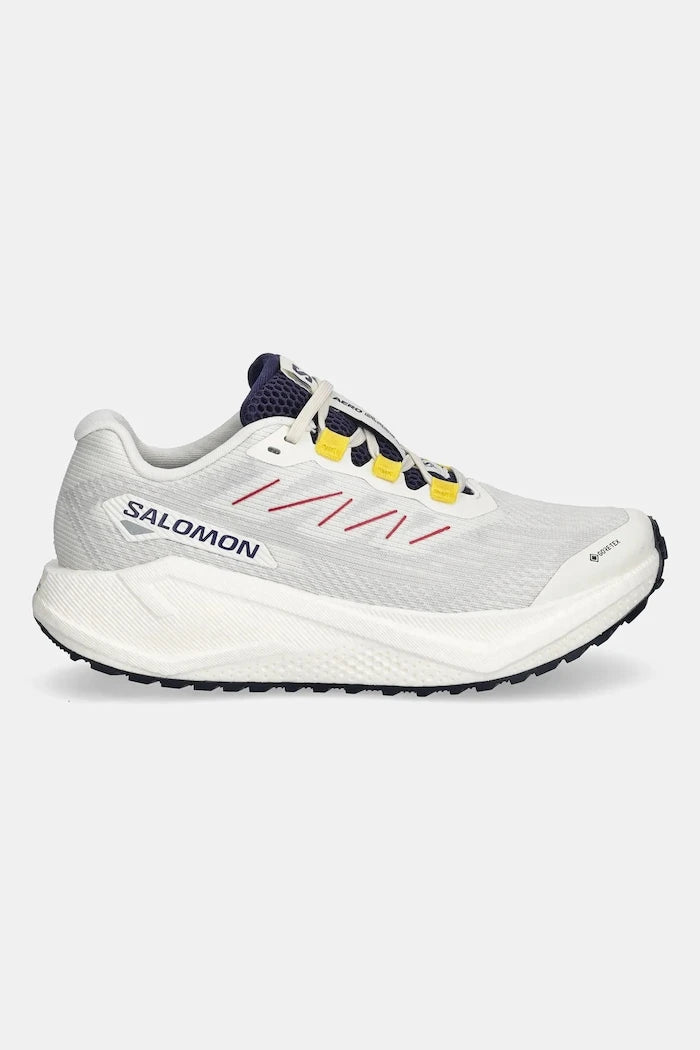 Обувки за трениране Salomon AERO BLAZE 3 GRVL