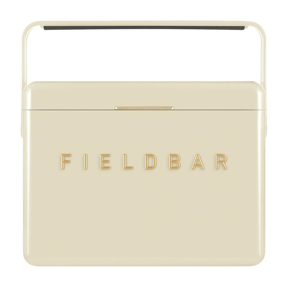 Mini Bar Cooler Box with Leather Sling (4L)