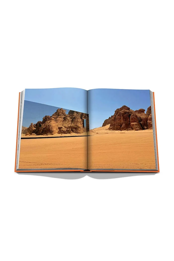 Книга Assouline Alula Ever by Jerome Garcin, English