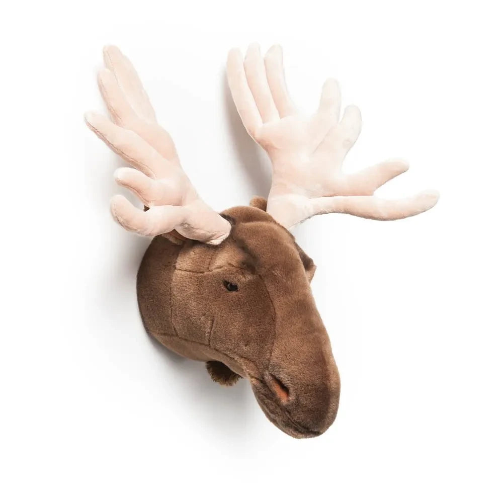 Wild & Soft - Elan Head | Brown