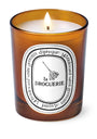 La Droguerie Odour-Removing Candle (190g)