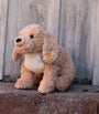 Berno Goldendoodle (36cm)