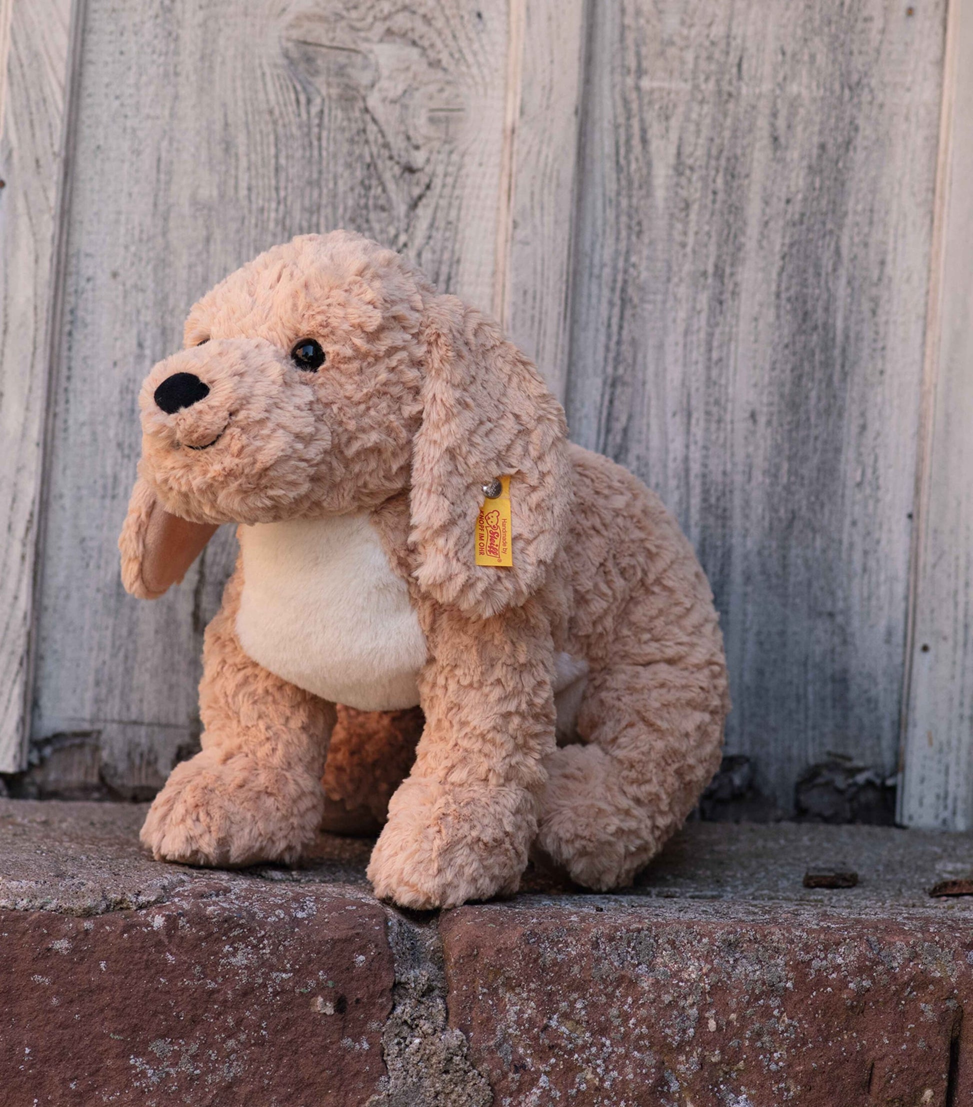 Berno Goldendoodle (36cm)