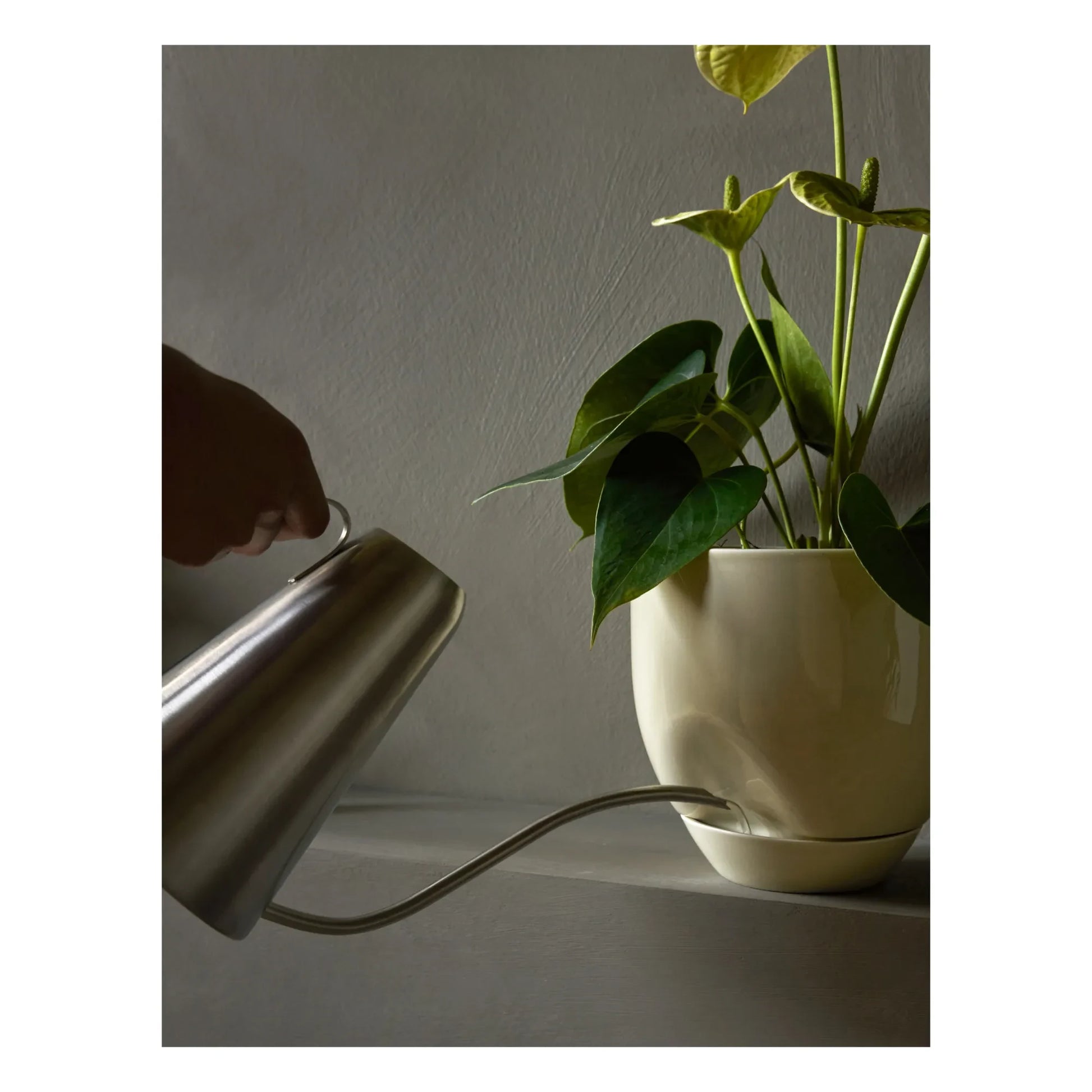Audo Copenhagen - Hydrous ceramic pot cover  | Beige