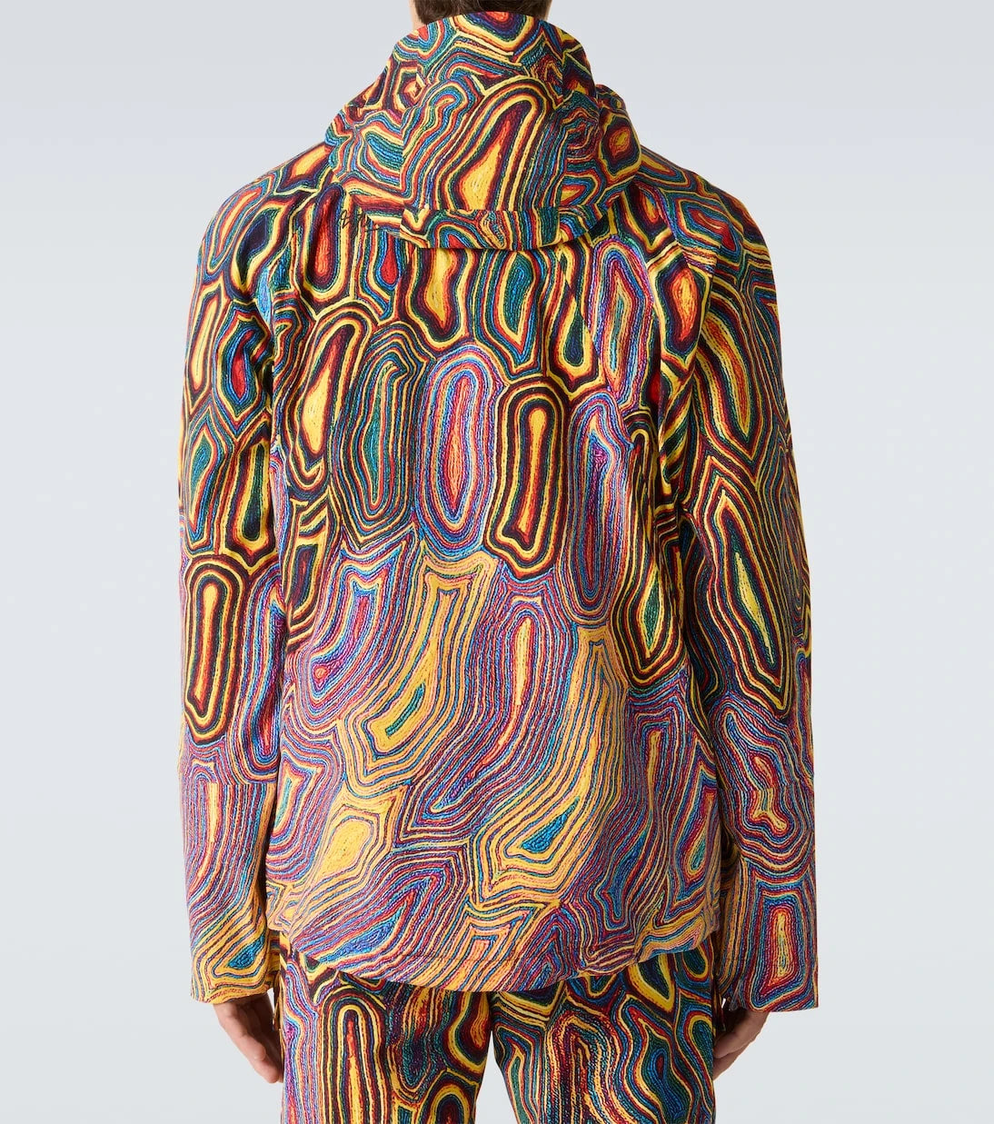 Aztech Mountain - Hayden printed ski jacket