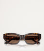 Jimmy Choo Brown Acetate JC5022B Sunglasses
