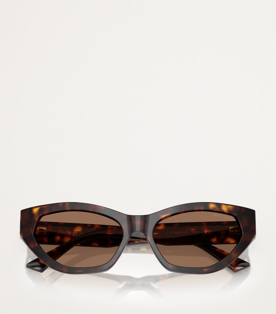Jimmy Choo Brown Acetate JC5022B Sunglasses
