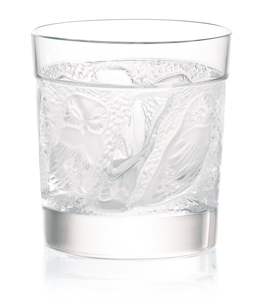 Owl Whisky Tumbler (200ml)