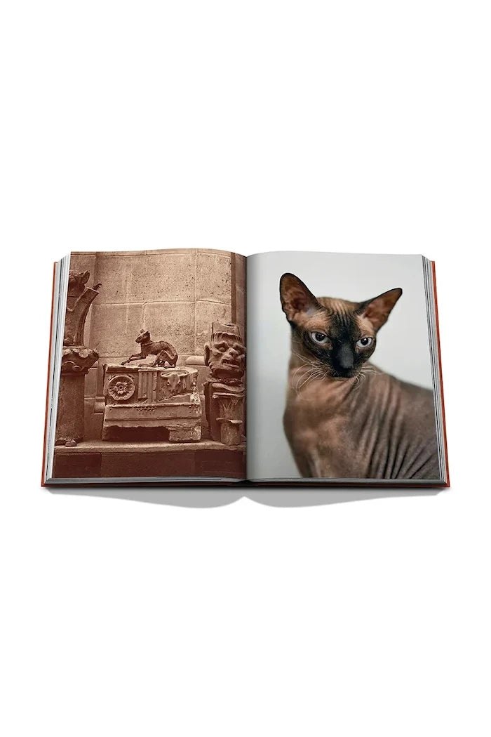 Assouline fotoğraf kitabı Chic Cats, Brett Martin