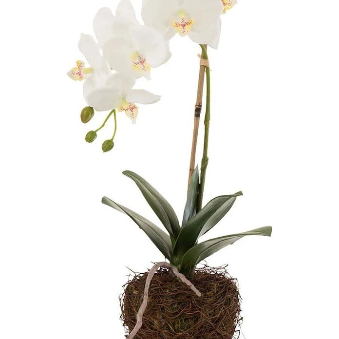 Изкуствено растение J-Line Orchid In Soil