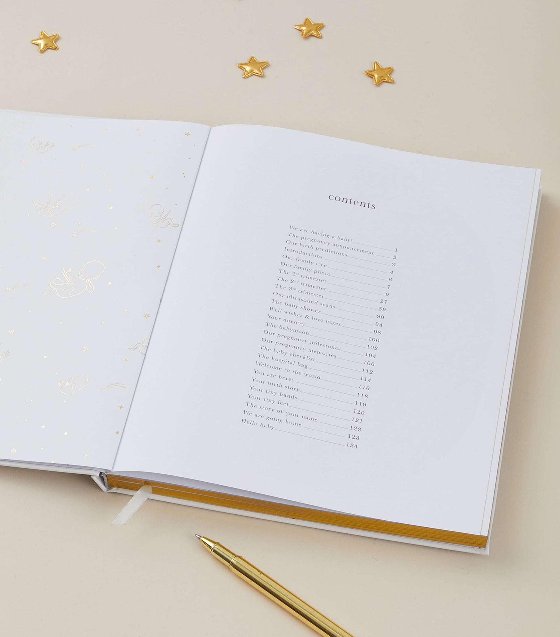 Blush and Gold My Pregnancy Journal