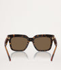 Brown Acetate BE4419 Sunglasses