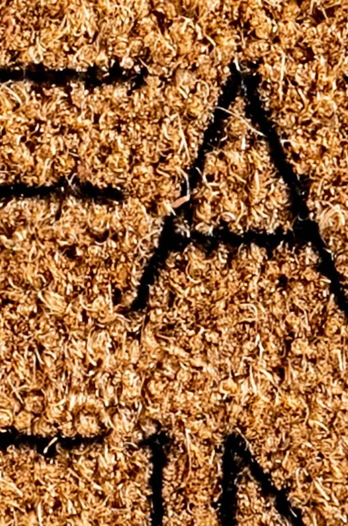 Artsy Doormats Fancy Seeing You Here Paspası