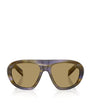 Brown Acetate Oversized Sunglasses