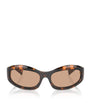 Brown Acetate Cat Eye MU14ZS Sunglasses