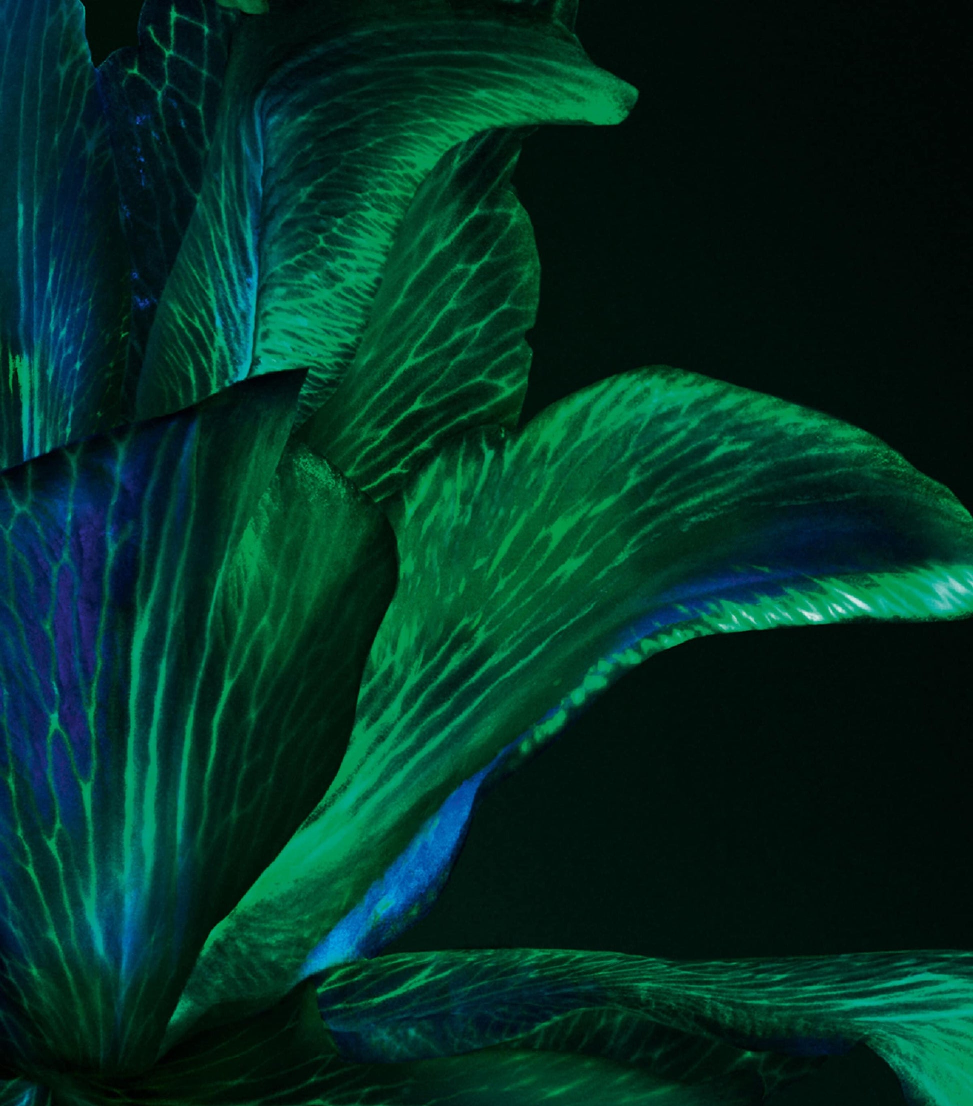 Helena Rubinstein Powercell Skin Rehab (50ml)