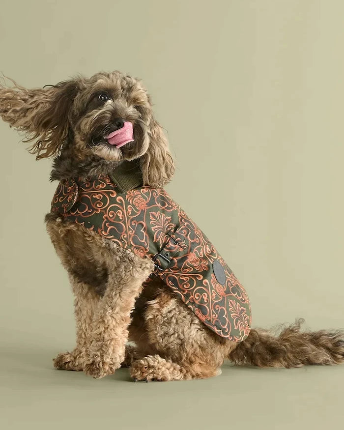 Barbour x Farm Rio Köpek Paltosu