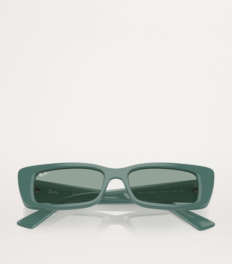 Ray-Ban Green Bio-Based RB4425 Teru Sunglasses