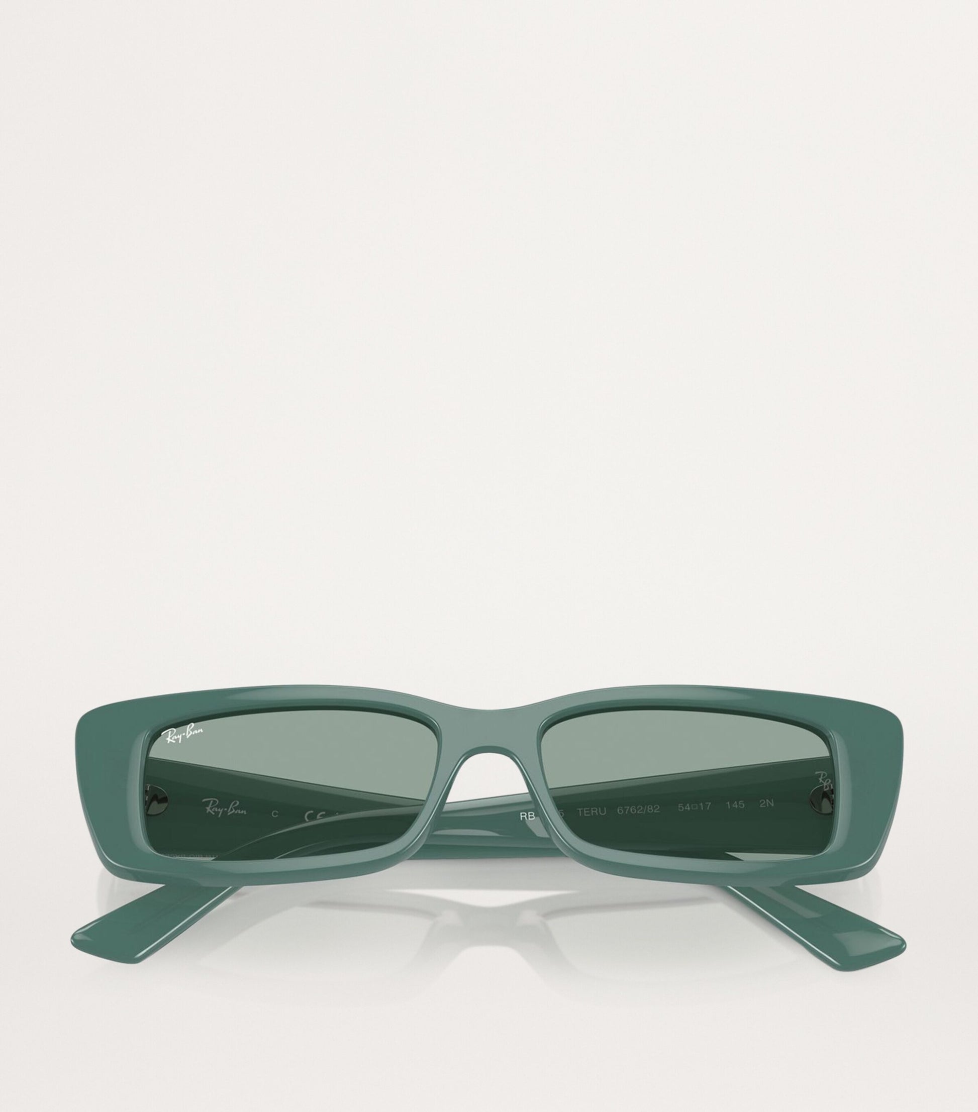 Bio-Based RB4425 Teru Sunglasses