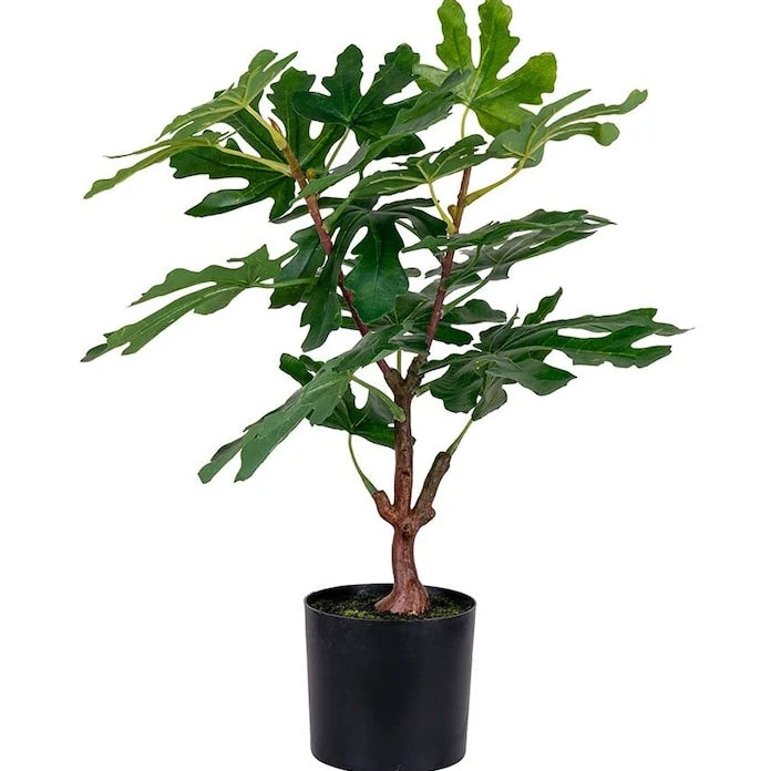 Изкуствено дърво в саксия House Nordic Fig tree