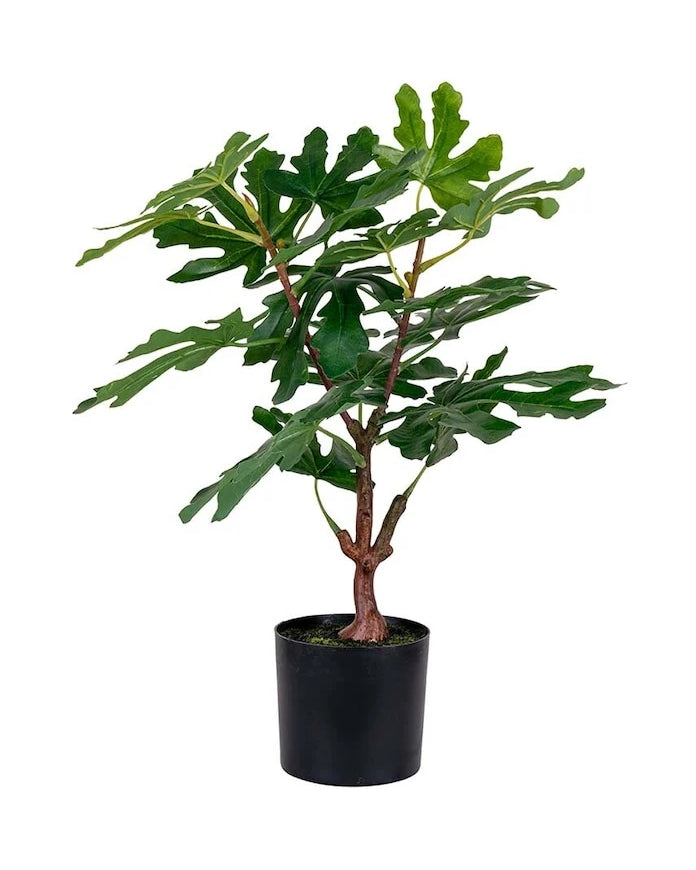 Saksıda Yapay Ağaç House Nordic Fig tree
