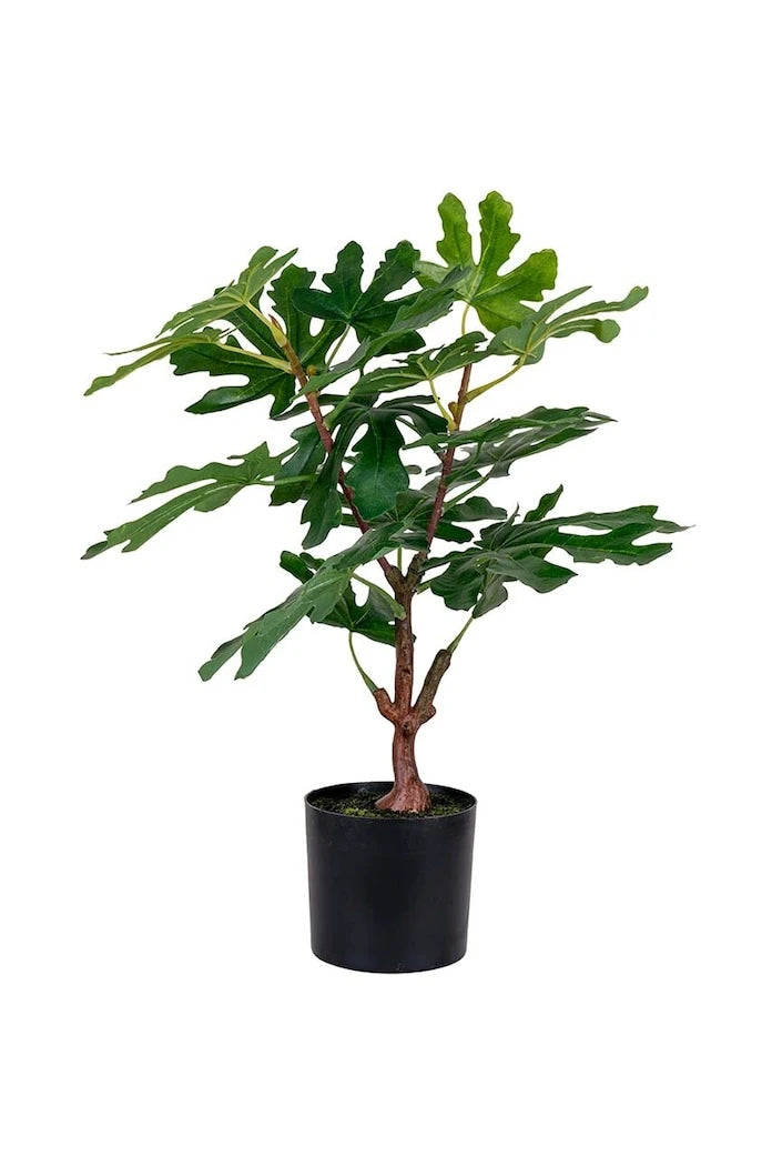 Изкуствено дърво в саксия House Nordic Fig tree