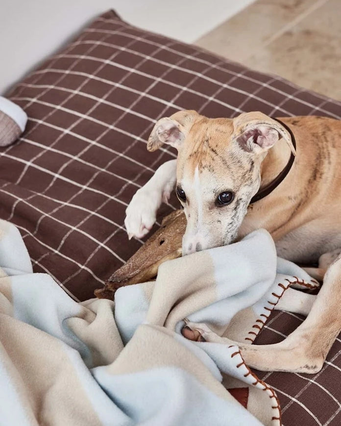 OYOY Kyoto Small Köpek Yastığı