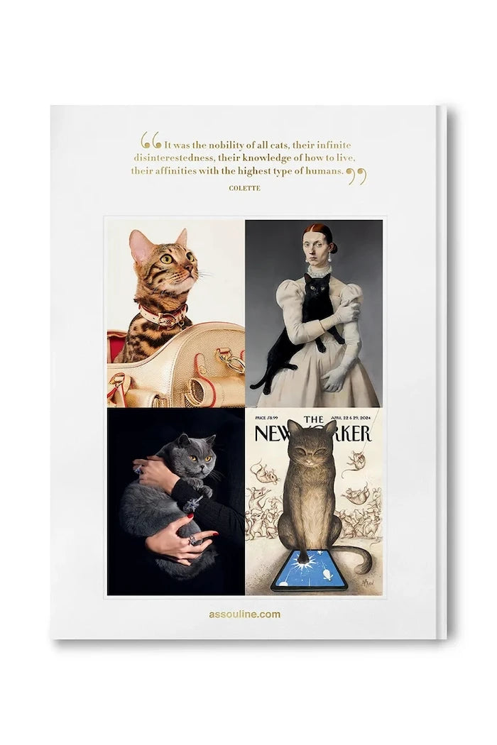 Assouline фото книга Chic Cats, Brett Martin
