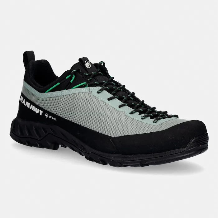 Mammut Erkek Trekking Ayakkabısı Alnasca IV Low GTX