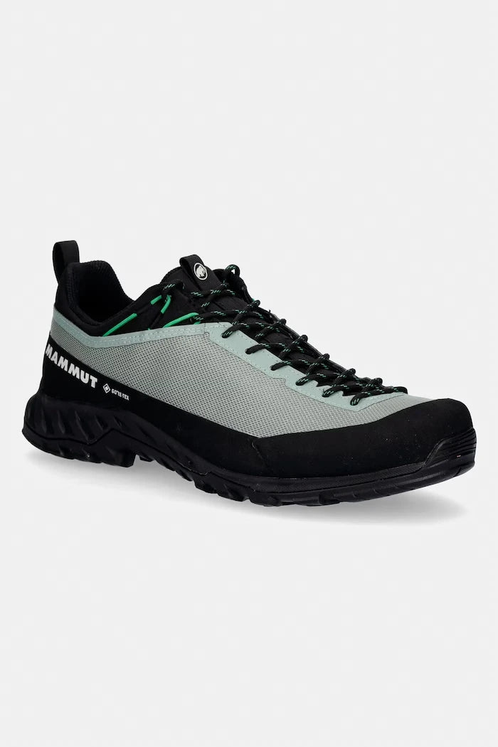 Mammut Erkek Trekking Ayakkabısı Alnasca IV Low GTX