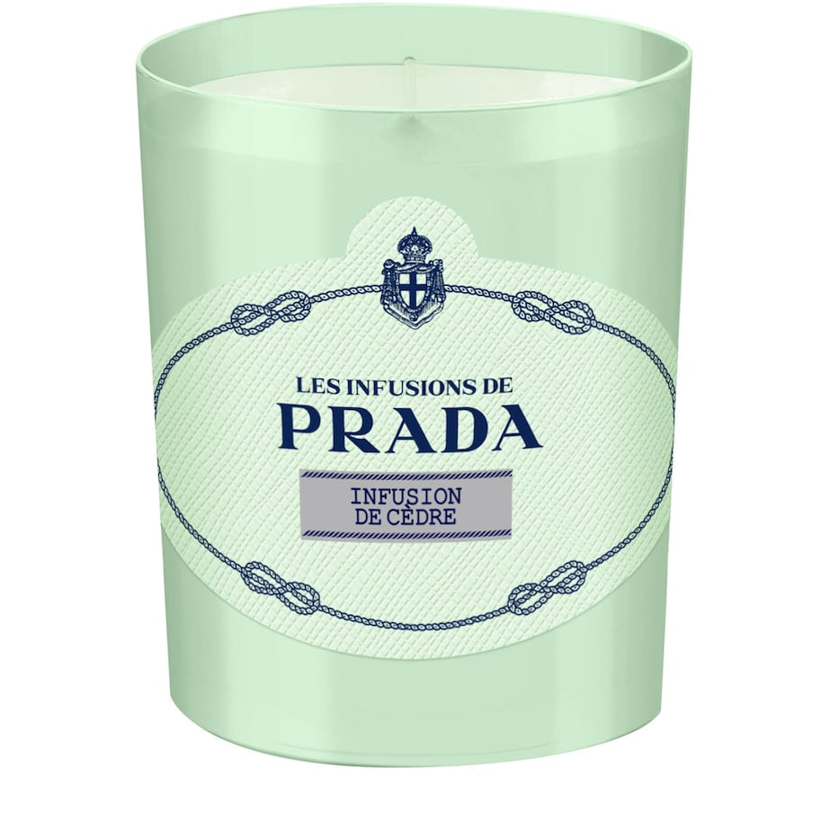 Infusion de Cèdre Candle (165g)