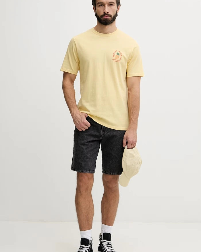 Hurley erkek pamuklu tişört